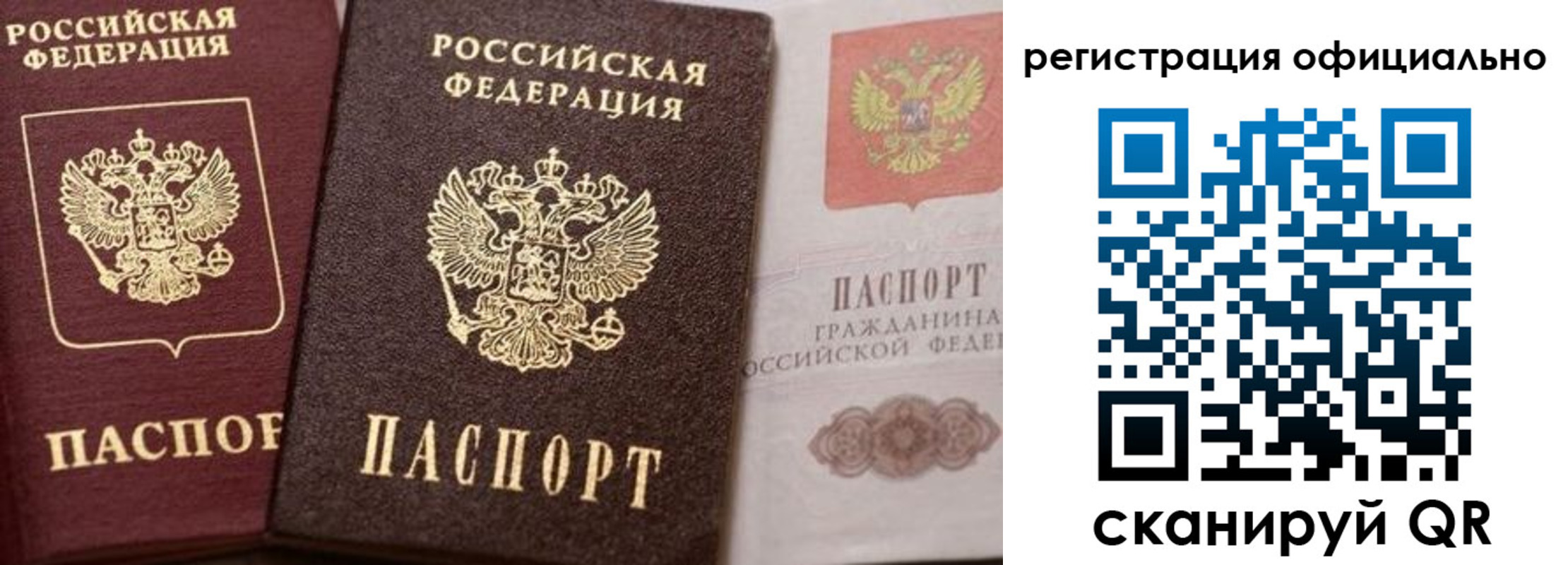 прописка гарантия в Белгороде